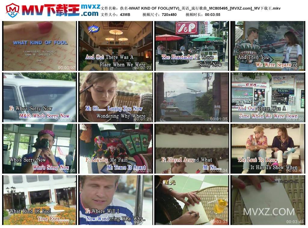 佚名-WHAT KIND OF FOOL(MTV)_英语_流行歌曲_MC805495